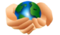 Packers and Movers